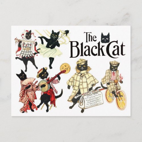 Many Faces of the Black Cat Postcard