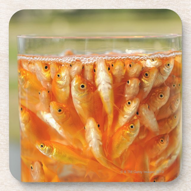 Many goldfish which are in the glass container beverage coaster (Front)