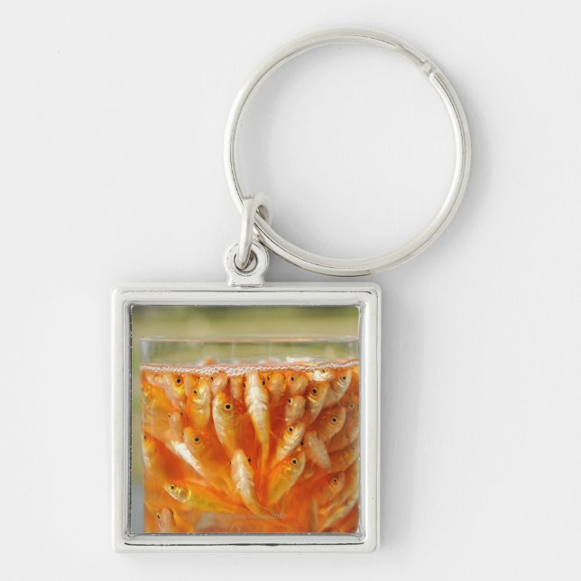 Many goldfish which are in the glass container keychain (Front)
