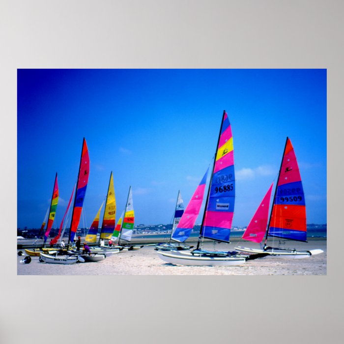 Many Hobie sailing boats in Jersey Poster