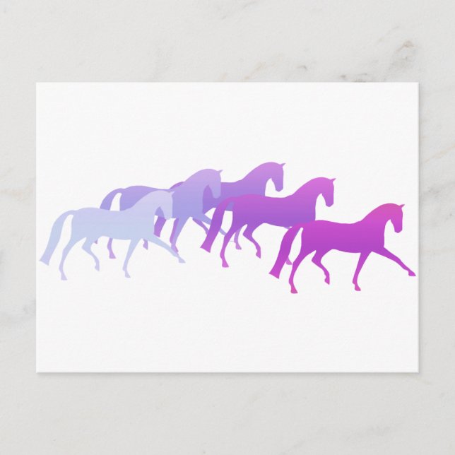 Many Horses (purples) Postcard (Front)