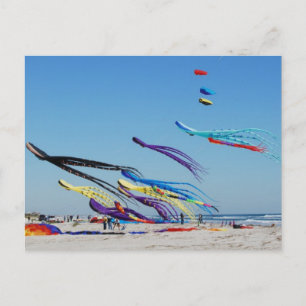 Many Multi Color Kites Postcard