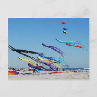 Many Multi Color Kites Postcard