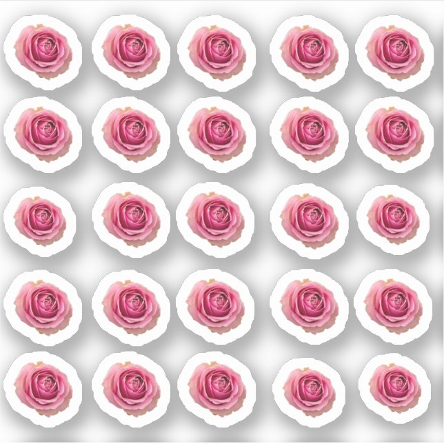 Many small pink roses sticker (Front)