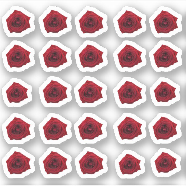 Many small red roses sticker (Front)