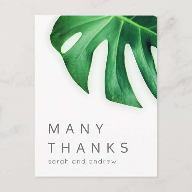 Many Thanks Tropical Palm Minimalist Thank You Postcard (Front)
