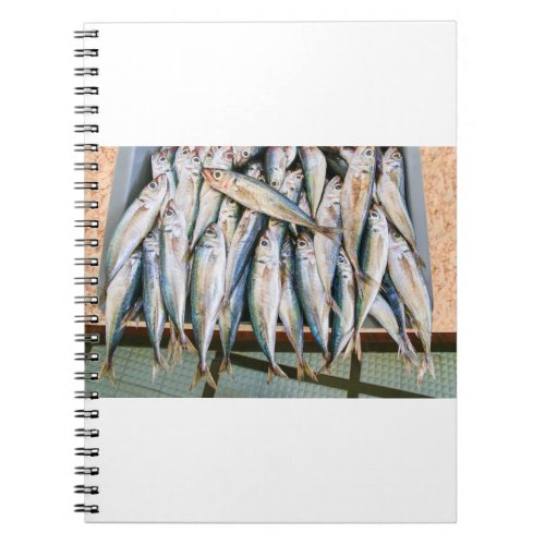 Many whole anchovies lying side by side in crate notebook