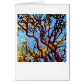 Manzanita in Autumn (Front)