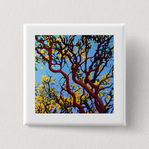Manzanita in Autumn Pinback Button