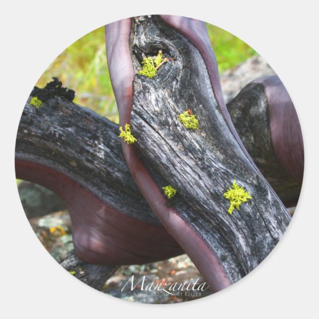 Manzanita Sticker (Front)