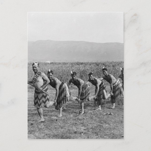 Maori War Dance Photograph Postcard (Front)