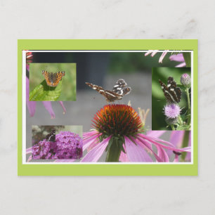 Map Butterfly Collage DIY Postcard