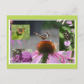 Map Butterfly Collage DIY Postcard