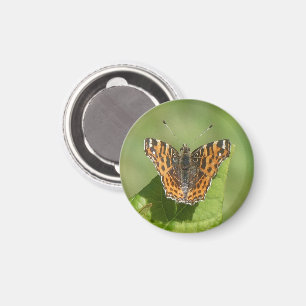 Map Butterfly on a Leaf Magnet