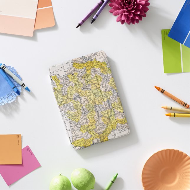 MAP: FRANCE iPad MINI COVER (In Situ)