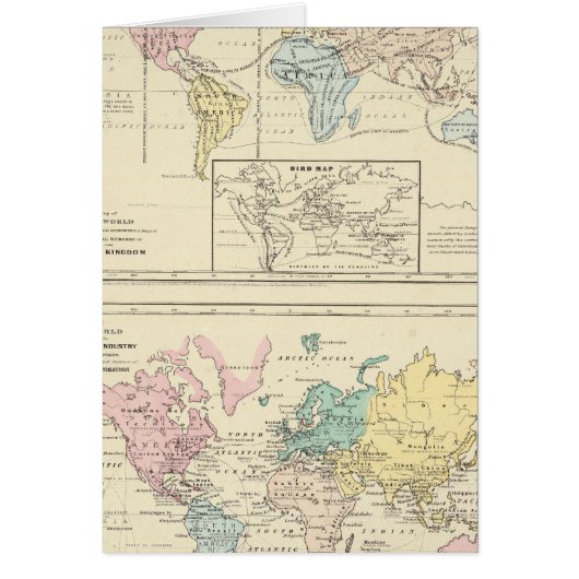 Map in color of The World Cards (Front)