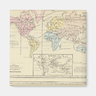 Map in color of The World Magnet