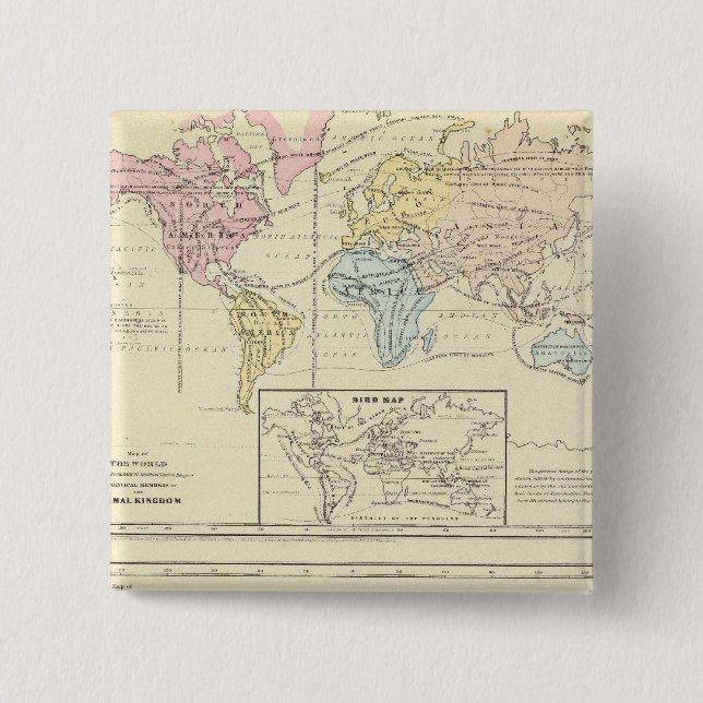 Map in color of The World Pinback Button (Front)