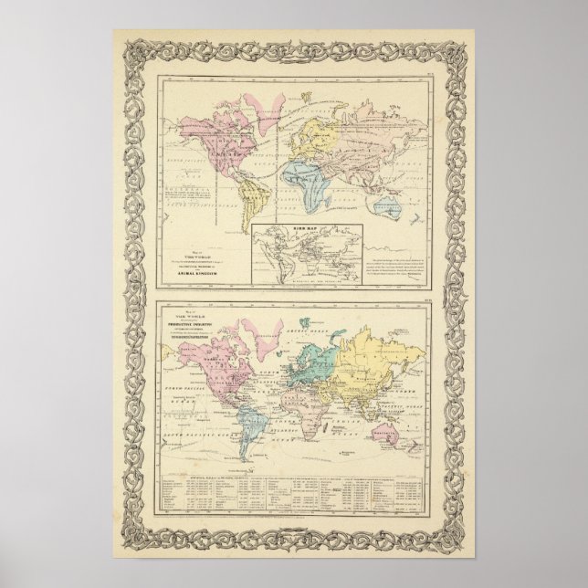 Map in color of The World Poster (Front)