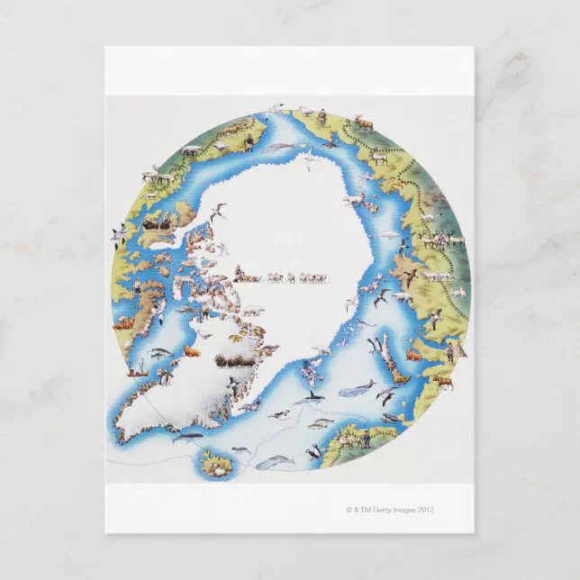 Map of Arctic Postcard | Zazzle