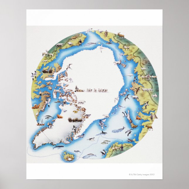 Map of Arctic Poster (Front)
