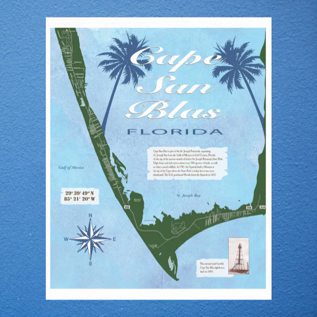 Map Of Cape San Blas Florida Poster Zazzle Map Of Cape San Blas Florida Poster R Vsz499 644.webp