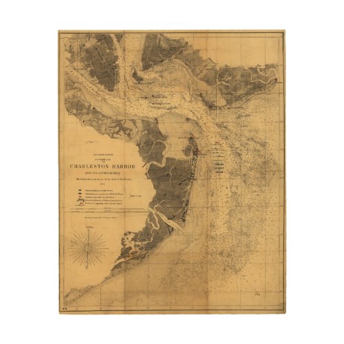 Map of Charleston Harbor South Carolina 1863 Wood Wall Art