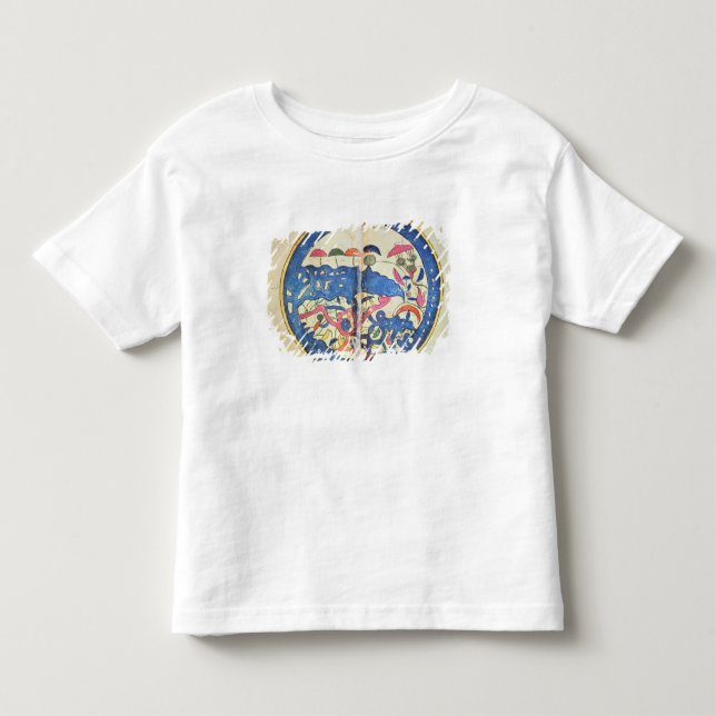Map of Egypt, 1348 Toddler T-shirt (Front)