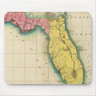 Map Of Florida Mouse Pad