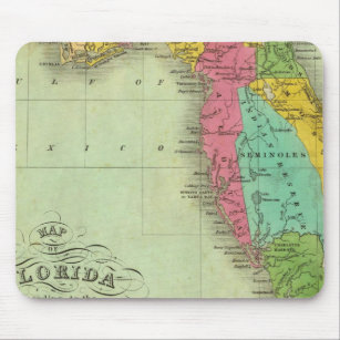 Map of Florida Mouse Pad