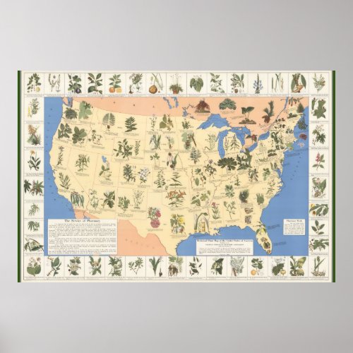 Map of Herbal Remedies poster