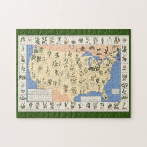Map of Herbal Remedies puzzle
