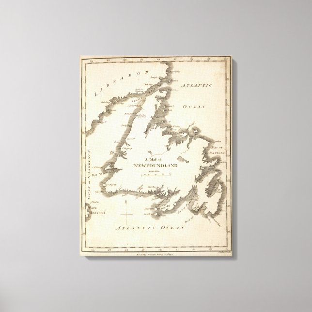 Map of Newfoundland Canvas Print (Front)