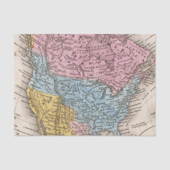 Map of North America 2 Tissue Paper (Front)