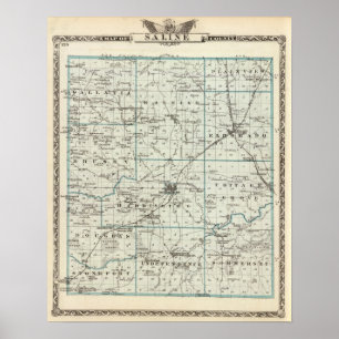Map of Saline County Poster