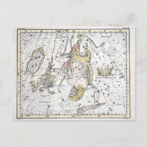 Map of The Constellations Plate VIII Postcard