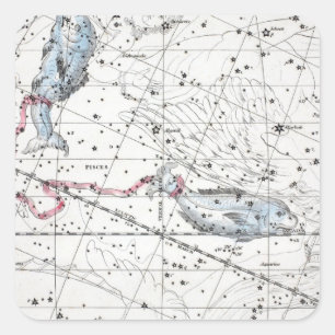 Map of The Constellations Plate XXII Square Sticker