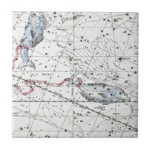 Map of The Constellations Plate XXII Tile