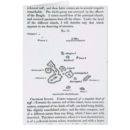 Map of the Galapagos Archipelago, 1844 Cards (Front)