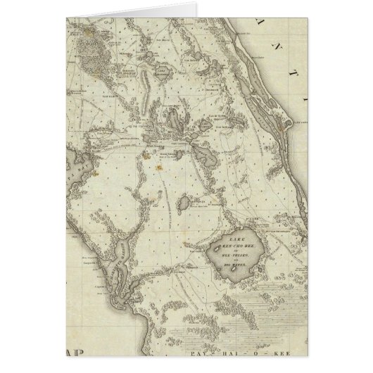 Map Of The Seat Of War In Florida Cards (Front)
