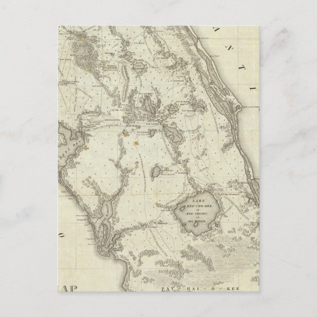 Map Of The Seat Of War In Florida Postcard (Front)