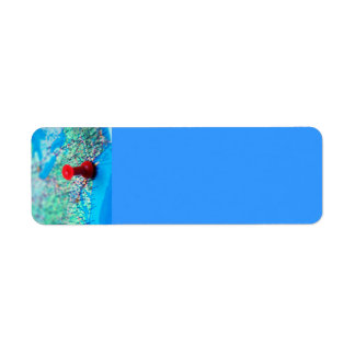 Map-with-pin-on-Washington MAP BLUE OCEAN LAND WAS Label