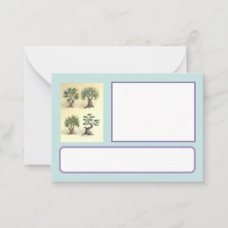 map with trimmed olive trees Provence. Note Card