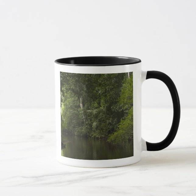 Mapari River, Mapari Rupununi, Guyana. Mug (Right)
