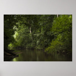 Mapari River, Mapari Rupununi, Guyana. Poster