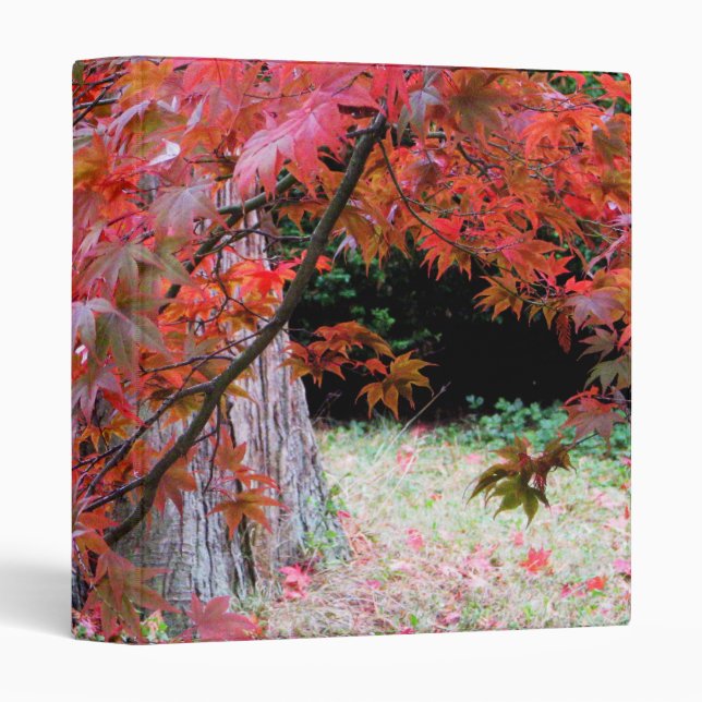 Maple and Cedar Binder (Front/Spine)