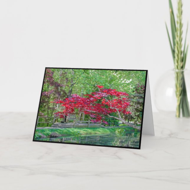 Maple Branch Greeting Card - Blank Inside (Front)