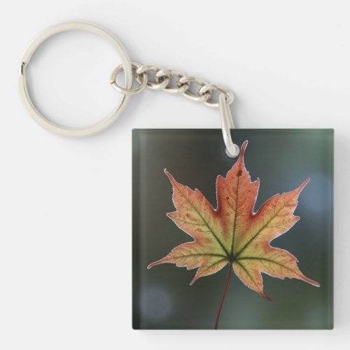 Maple Charm Acrylic Keychain with Autumn Leaf Des