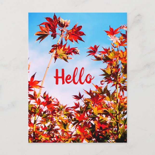 Maple (Customizable Text) Postcard (Front)