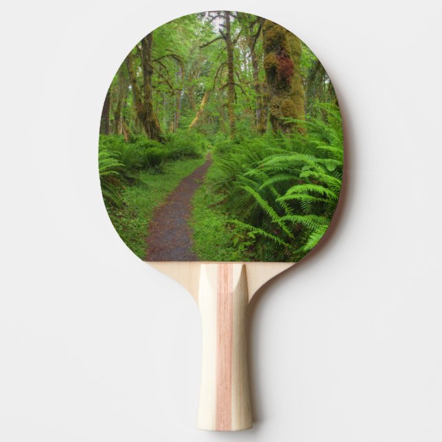 Maple Glade trail, ferns and moss covered Ping-Pong Paddle (Front)